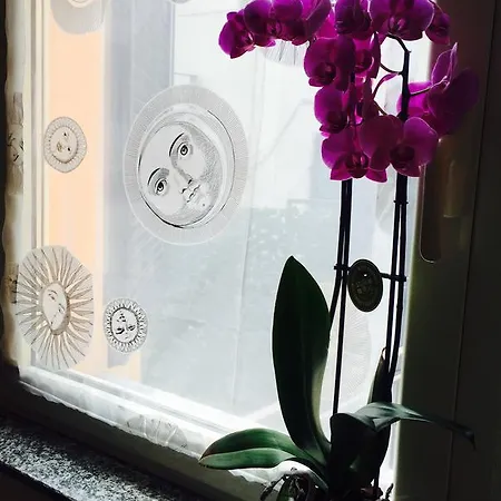 Suite Apartment *